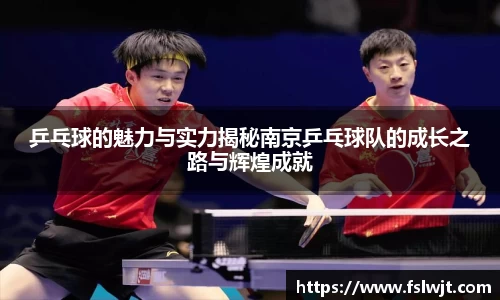 乒乓球的魅力与实力揭秘南京乒乓球队的成长之路与辉煌成就
